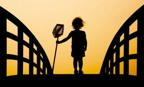 阳光、防疫与影像 平凡生活里的美好瞬间